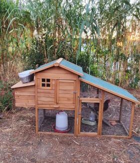 Albacete House | Refugio madera estilo árabe con estatuas, estanques y un pequeño zoo