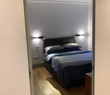 Euston Apartment | Regents Park Apartments