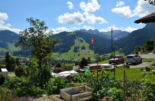Saanen Apartment | Rehweid (EG) by Interhome