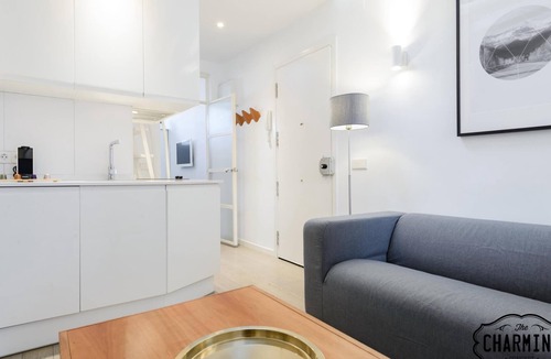 Embajadores Apartment | Reina Sofía - Lovely Penthouse