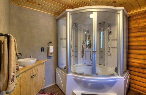 Weston Cabin | Rejuvenating bald eagle cabin with Shower Jacuzzi