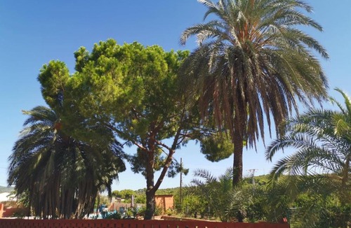 Sagunto Bed & Breakfast | Relais Pollo Loco