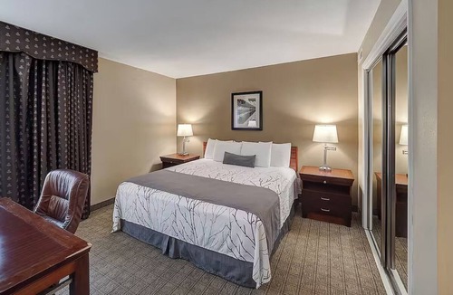 Urbana Hotel | Relax and Recharge in King Rooms Near Urbana’s Dining Gems