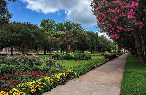 Austin Ave. Hotel | Relax and Recharge in Knights Inn Franklin Ave Waco! Free Parking, Pets Allowed