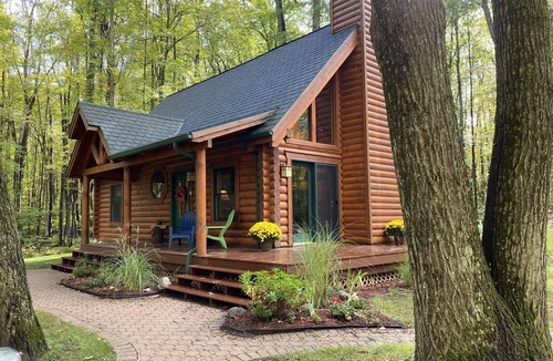 Farwell Cabin | Relax and Unplug at this peaceful log home.