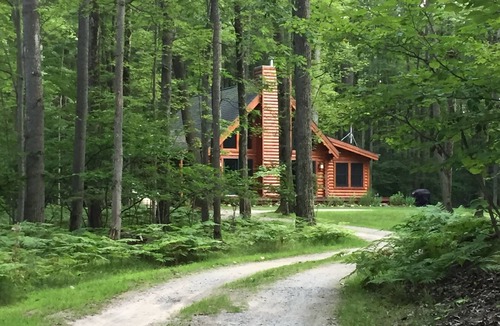 Farwell Cabin | Relax and Unplug at this peaceful log home.