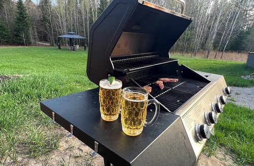 Novar Cottage | Relax at Cozy Cabin near Algonquin, 2 Bedroom, WIFI, large yard w/firepit