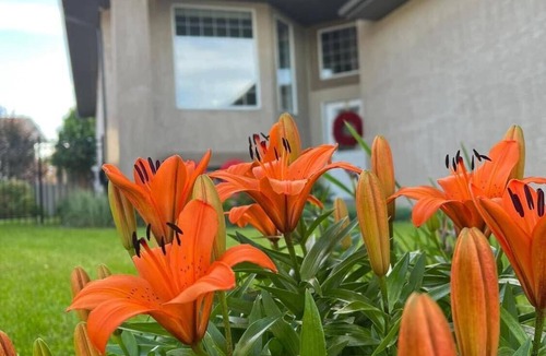 Regina House | Relax at this peaceful oasis