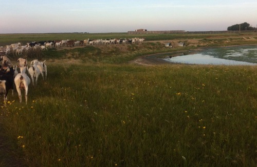 Dafoe House | Relax in the Prairie