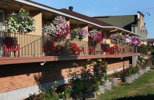 Chehalis Hotel | Relax Inn Chehalis