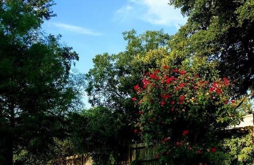 Round Rock House | Relax Poolside at a Luxurious Creekside Home near Downtown Round Rock
