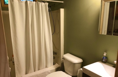 Lake Ariel House | Relax with your pooch