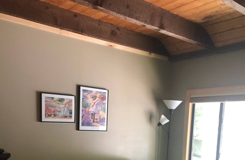 Lake Ariel House | Relax with your pooch