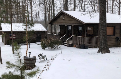 Vulcan Cabin | Relaxing 3B Log Home-15 min walk to the Black River!