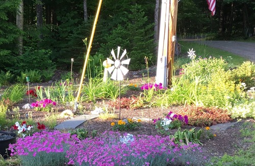 Dexter Apartment | Relaxing Apartment in Dexter