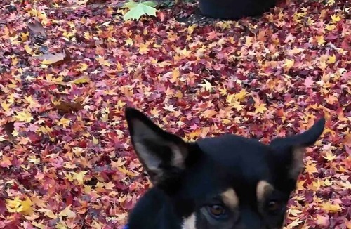 Burrawang House | Relaxing at acreage farmhouse