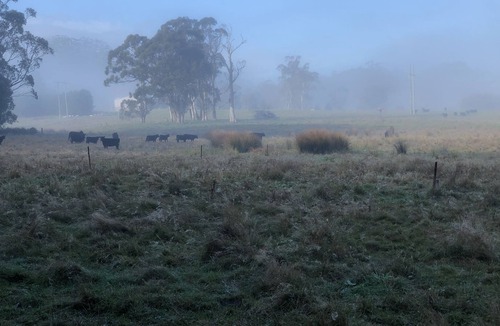 Burrawang House | Relaxing at acreage farmhouse