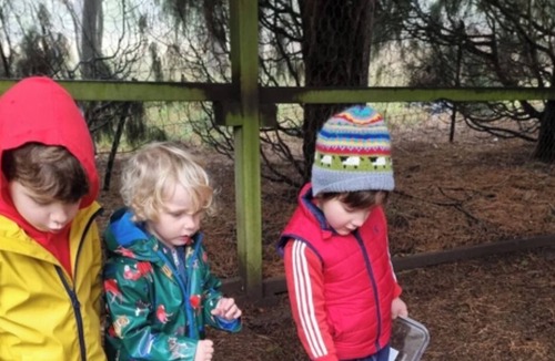 Burrawang House | Relaxing at acreage farmhouse