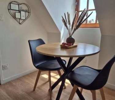 Antrain Apartment | Relaxing Break and Garden