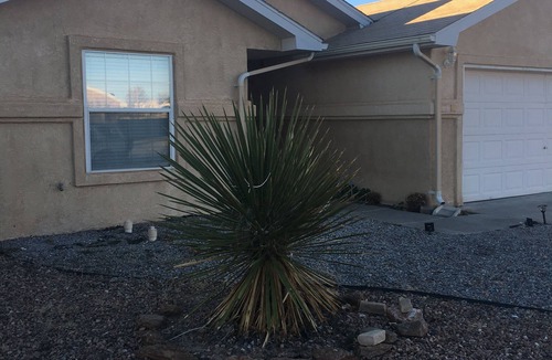 S.r. Marmon House | Relaxing/cozy home near Petroglyphs