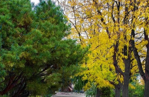 Southeast Boise House | Relaxing Stay! 4 Comfortable Units, Free Breakfast, Pool, Pets Allowed