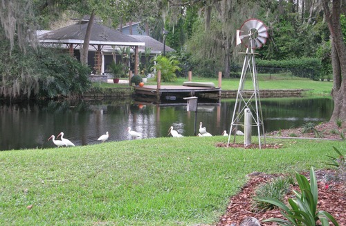 Lutz House | Relaxing waterfront haven. Near Moffitt Cancer Center