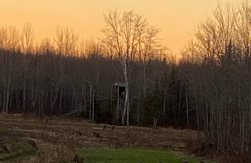 Burnham Cabin | Remote accessible off-grid cabin
