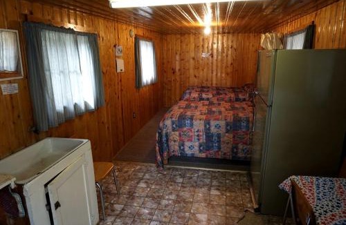 Bellvue House | Remote and Cozy Mountain Cabin Nestled in the Poudre Canyon, Perfect for a Pet Friendly Glamping Retreat