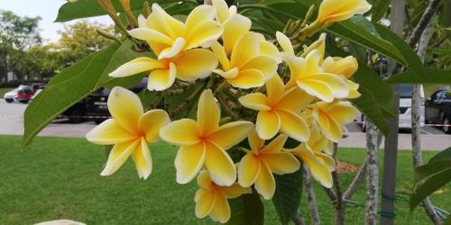 Hulu Selangor House | Renovate on progress