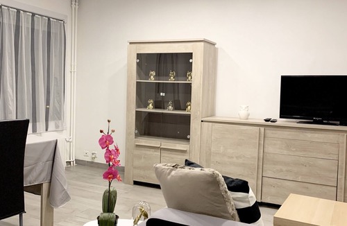 La Madeleine Apartment | RENOVATED 50M2 APARTMENT ORLEANS TOWN CENTER