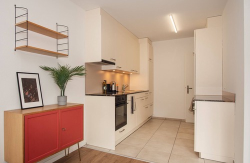 Matthaus Apartment | Renovated Designer Studio in Central Basel with free BaselCard