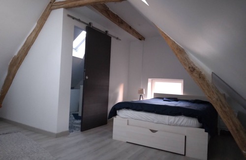 La Ferte-Saint-Aubin House | Renovated house in a charming Sologne town