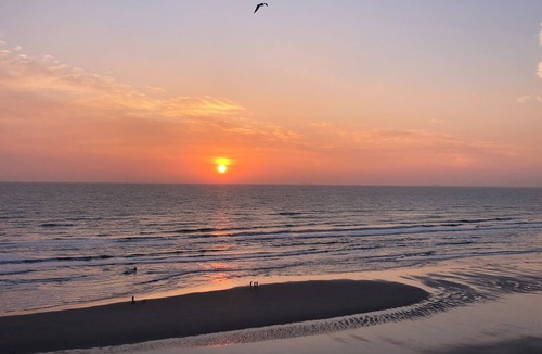 Hardelot-Plage Apartment | Rent apartment Hardelot facing the sea 6/7 beds