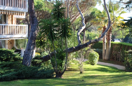 Valescure Apartment | Rent Studio 32m² SAINT RAPHAEL