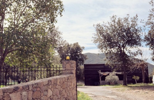 Moltifao House | Renting on a farm