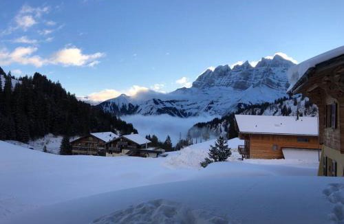 Val d'Illiez Apartment | Residence D Appartement 1