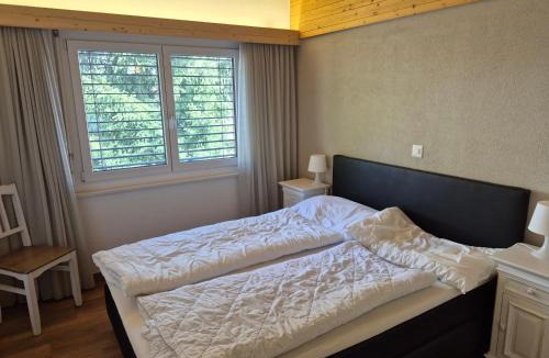 Bellwald Apartment | Residence Edelweiss No Stress by Eva