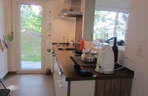 Randogne Apartment | Residence Eden Roc