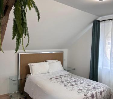 Villeneuve-l'Archeveque Apartment | Residence de L'Archeveque