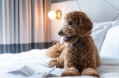 Slough Hotel | Residence Inn Slough