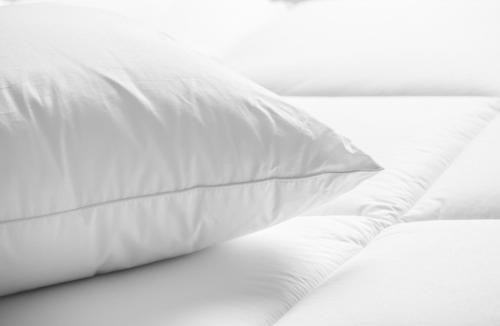Springfield Hotel | Residence Inn Springfield