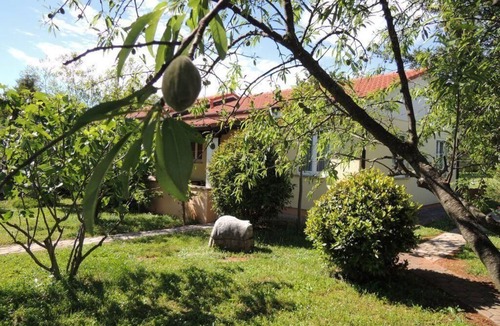 Vrvari House | Residence Lorena with saltwater pool and garden