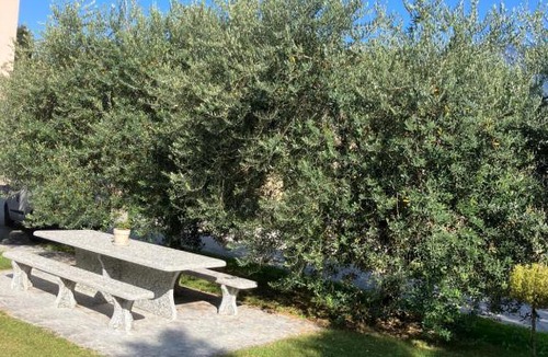 Contone Apartment | RESIDENZA GIOVANNI