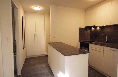 Sils-Maria Apartment | Residenza Lagrev - 2 room flat no. 222 - type 21A - 2nd floor - S/W