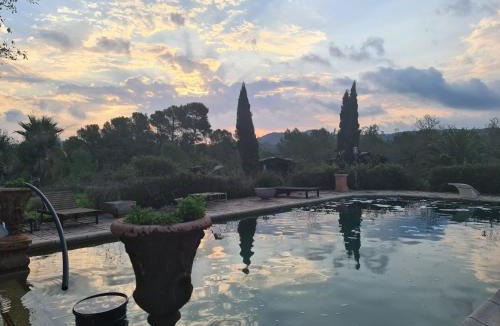 El Perello Resort | Resort Carpe Diem El Perelló