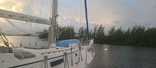 Key West Boat Rental | Resort chic on the water!
