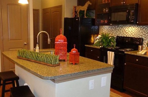 Grogan's Mill Apartment | Resort Style 2 Bedroom/2 Bath Apt./Condo in The Wo