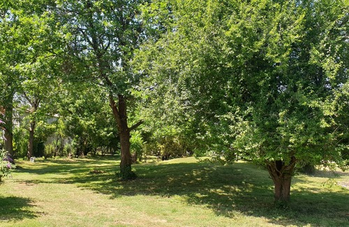 Salies-du-Salat House | Rest and relaxation nestled in a green setting