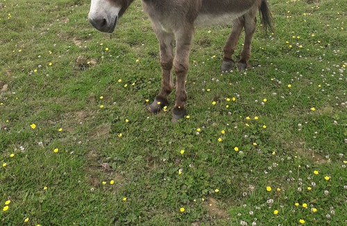 La Haye Other | Rest in the countryside