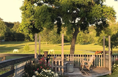 Montgomery County House | Rest + Restore. Family-friendly ranch getaway, including fur babies!nn